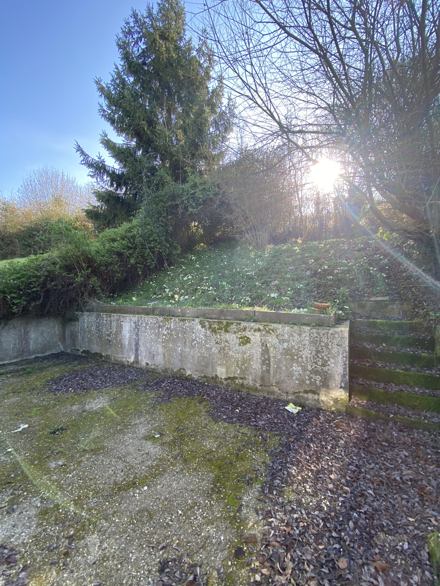 maison de 3 pp à bonnebosq - image 7