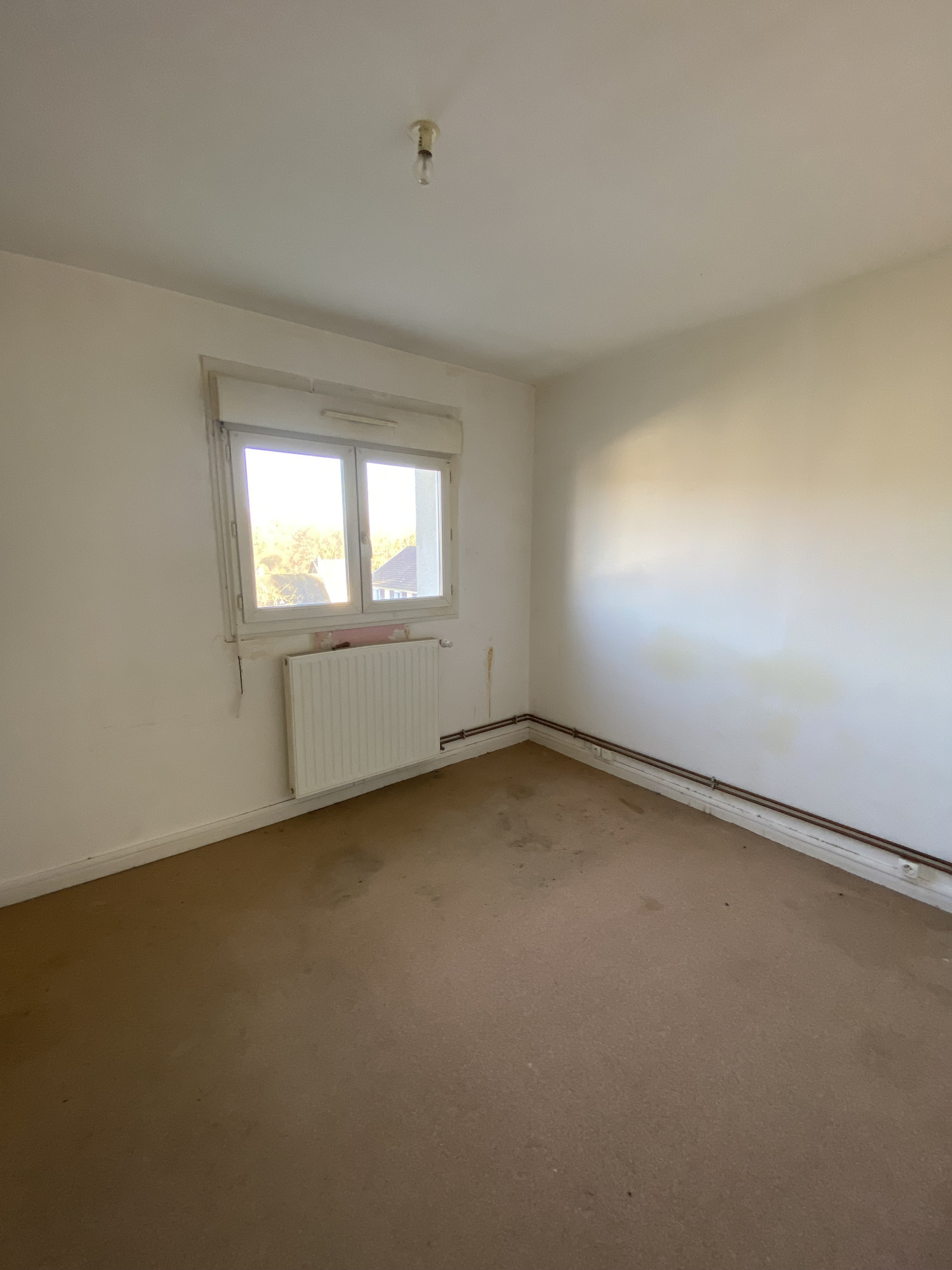 maison de 4 pp à bonnebosq - image 6