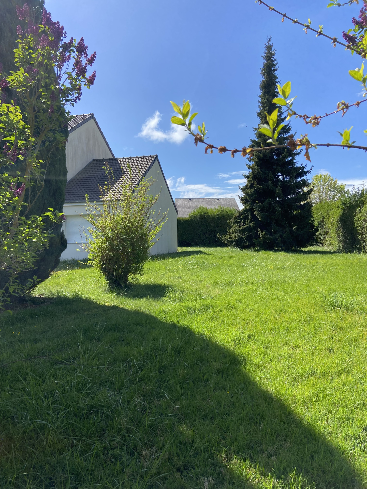 maison de 3 pp à mezidon vallee d&rsquo;auge - image 4